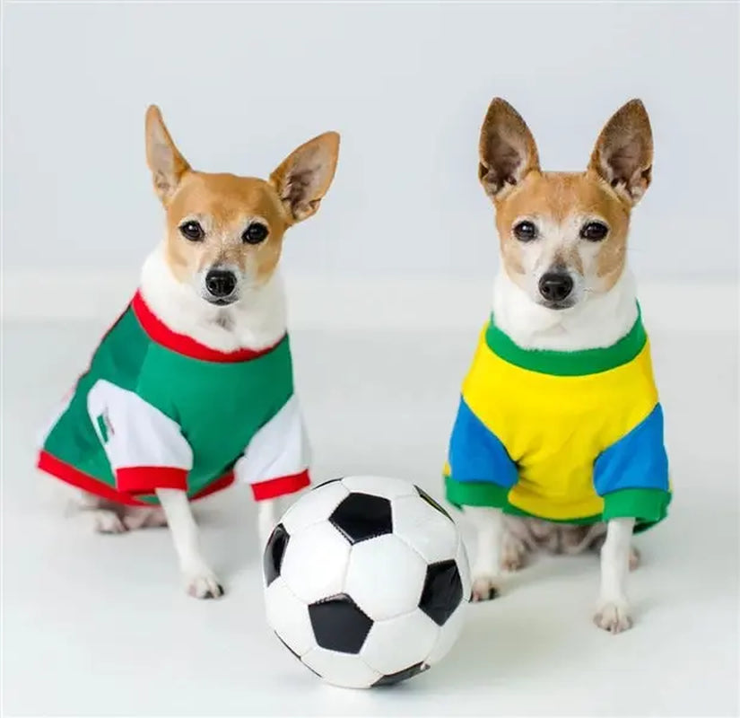Parisian Pet 'Team Mexico' Patriotic Dog and Cat T-Shirt – Ideal for Soccer Enthusiasts – Red, White, Green