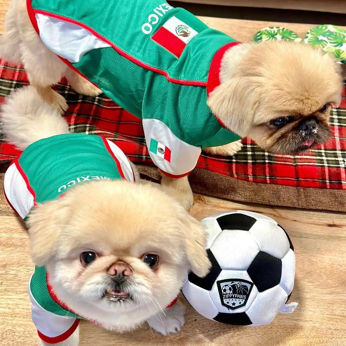 Parisian Pet 'Team Mexico' Patriotic Dog and Cat T-Shirt – Ideal for Soccer Enthusiasts – Red, White, Green